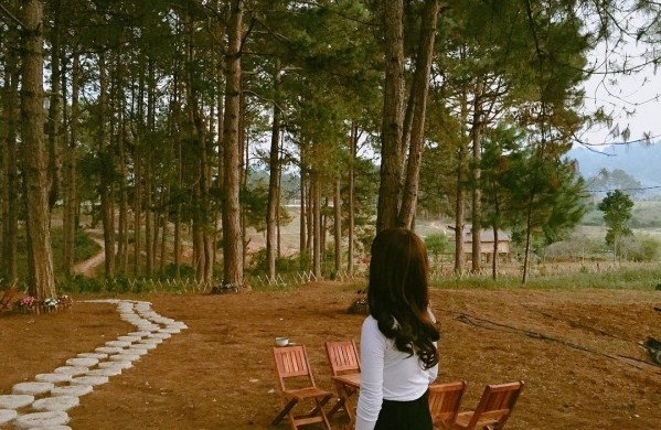 tu vi chiem tinh ngay 136 ve tinh yeu cua 12 con giap tuoi mui tuoi tuat tinh cam truot doc