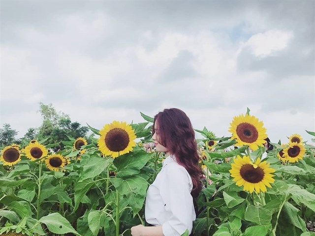 5508 quen da lat di sai gon sap co canh dong huong huong moi toanh de song ao 3cb2227d636803850303240153