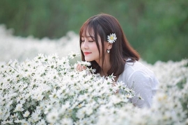 tu vi chiem tinh ngay 256 ve cong viec cua 12 con giap tuoi mao cong viec thuan loi