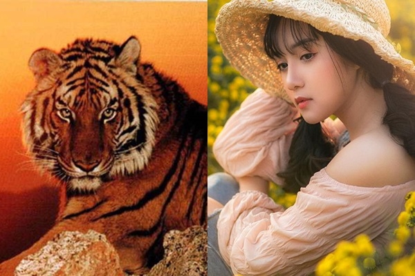 Top con giáp phát tài tuổi Trung niên, càng làm càng phất như diều gặp gió