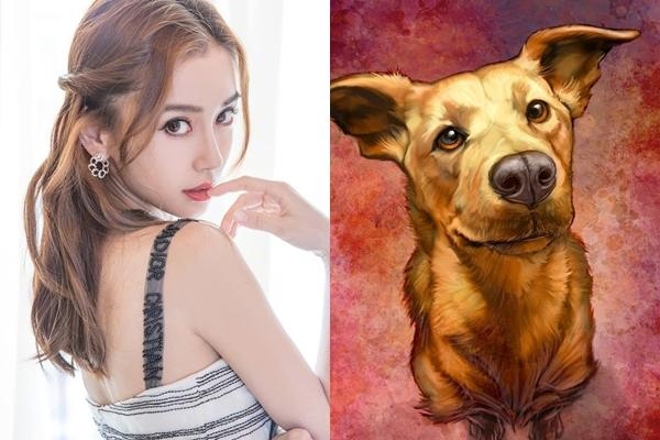 Tử vi tuần mới 23/8 đến 29/8/2021 tuổi Tuất: Làm gì cũng không thuận