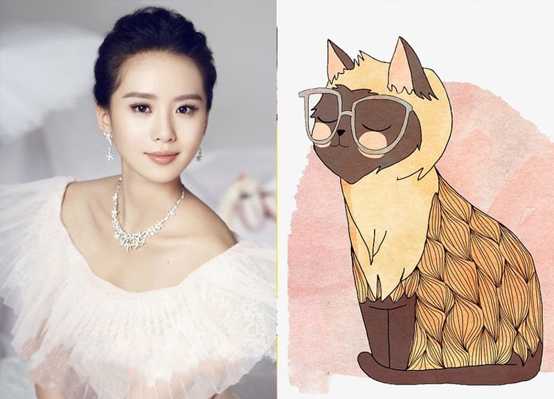 Tử vi tuần mới tuổi Mão (23/8 đến 29/8/2021): Tài chính khởi sắc