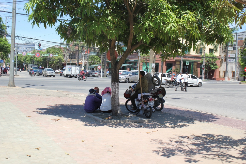 3930 nang nong 3