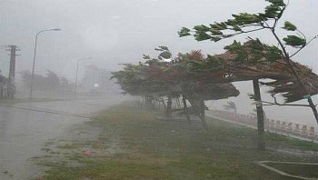 Diễn biến áp thấp nhiệt đới: Đi vào đất liền trong đêm 16/10, gió giật cấp 8