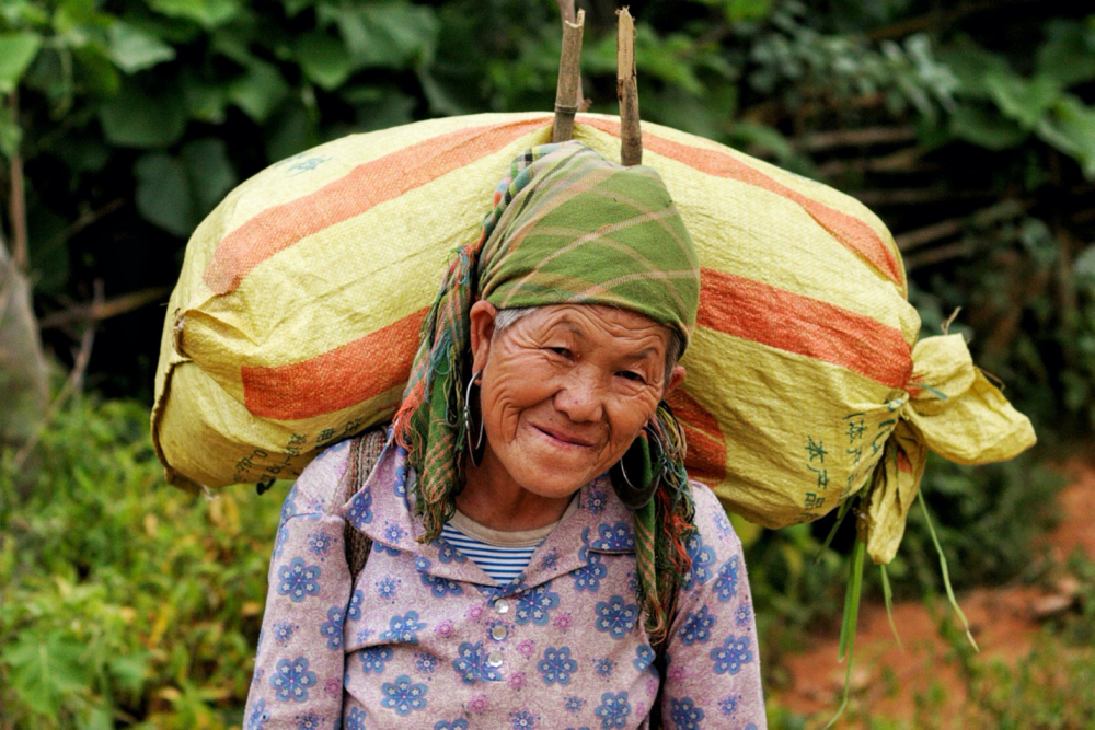 Những phụ nữ người Mông cõng Những phụ nữ người Mông cõng
