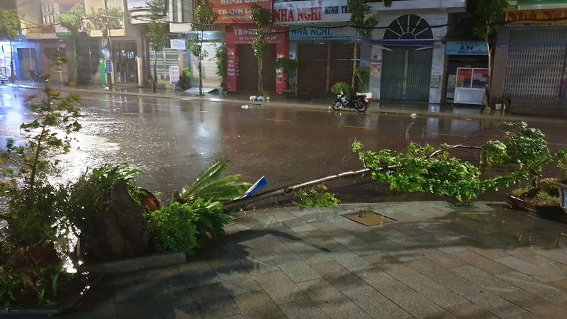 Bão số 9 giật đổ cây xanh, nhà tốc mái tại Đà Nẵng, Quảng Nam, Quảng Ngãi