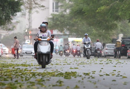Thời tiết đêm 19 ngày 20/11: Bắc Bộ và Trung Bộ chuyển mưa nhiều nơi