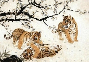 Tử vi tuổi Dần: Công việc, tình yêu, sức khoẻ tuần mới 22/11 đến 28/11/2021