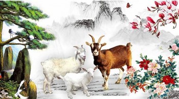 Tử vi tuổi Mùi tháng 12/2021: Tháng của khó khăn vất vả