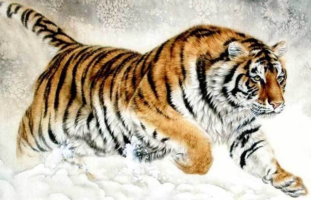 Tử vi tuổi Dần năm Tân Sửu 2021: Năm của sự phát triển, thu nạp tri thức