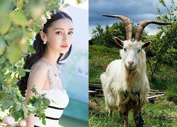 Tử vi tháng 1/2021 tuổi Mùi: Cẩn trọng trên mọi phương diện