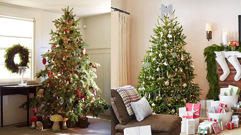 Noel 2021: Tổng hợp ý tưởng trang trí cây thông Noel theo chủ đề đơn giản đẹp mắt nhất