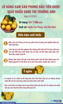 xuat khau gan 7 tan cam cao phong dau tien sang anh