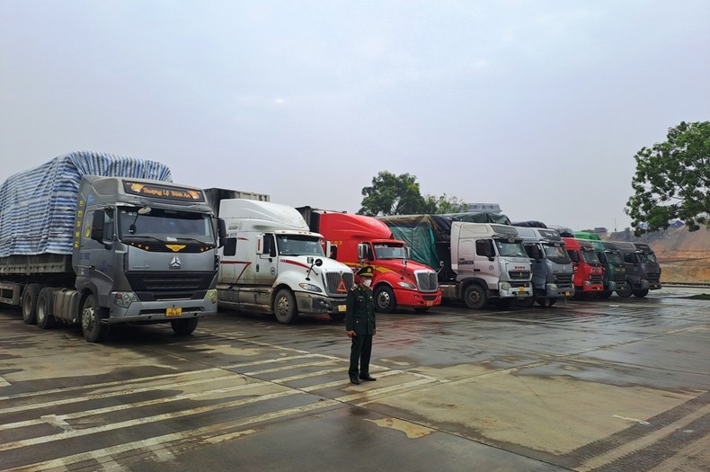 Từ ngày 8/1, mở hoàn toàn cửa khẩu biên giới Việt-Trung tại Lào Cai ảnh 2