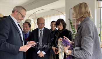 50 năm ngày ký Hiệp định Paris: Dấu ấn sâu đậm trong lòng bạn bè quốc tế