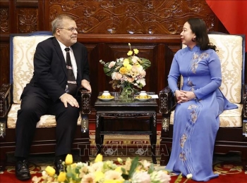 quyen chu tich nuoc vo thi anh xuan tiep dai su brazil