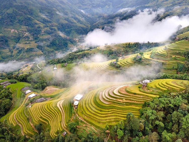 Kiệt tác ruộng bậc thang Hoàng Su Phì.