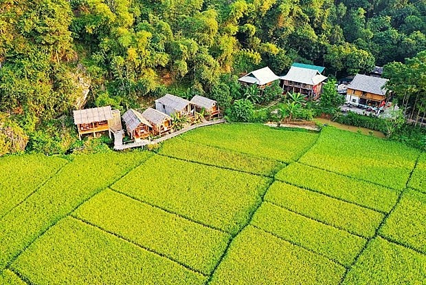 Ảnh: CTV/Vietnam+