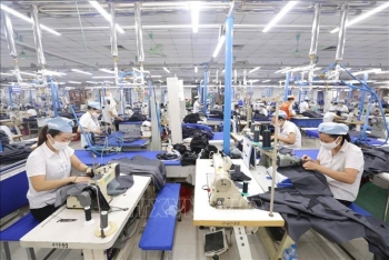 Cảnh báo lừa đảo trong xuất khẩu sang thị trường Nigeria