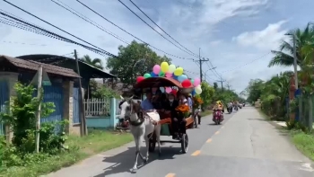 TP Hồ Chí Minh công bố chương trình du lịch mới có tên “Củ Chi vùng đất bình yên, thân thiện và nghĩa tình”
