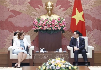 Thúc đẩy đưa nông sản Việt Nam vào New Zealand