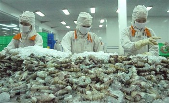 Belarus mong muốn phát triển quan hệ đối tác chiến lược với Việt Nam