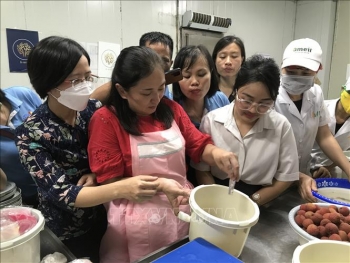 Hải Dương chuyển giao công nghệ lên men, bảo quản quả vải