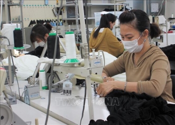 Nhật Bản tìm cách giảm phí môi giới cho các thực tập sinh Việt Nam
