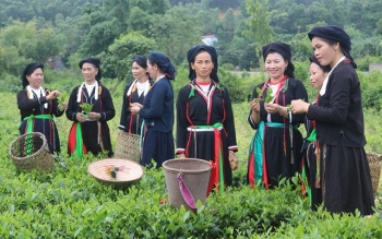 Thúc đẩy thực hiện quyền cho đồng bào dân tộc thiểu số ở Việt Nam