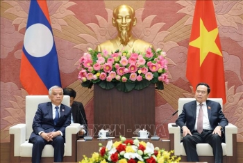 Thúc đẩy, củng cố quan hệ hữu nghị truyền thống Việt Nam - Lào