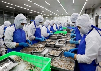 Kinh tế 2022 - 2023: Thời cơ của nông sản Việt
