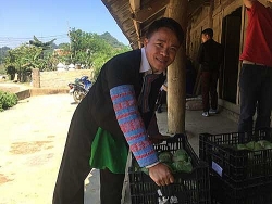 Người Mông Sơn La học trồng rau sạch