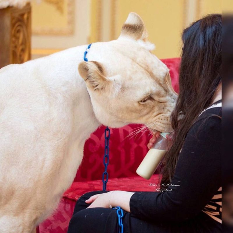 dubai va nhung goc khong hoa le