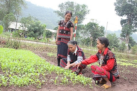 plan giup phu nu thieu so tao dung niem tin tu mo hinh von vay thon ban