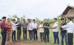 quang tri di lam co nguoi dan phat hien hon 70 qua bom bi