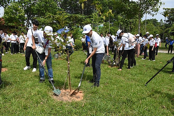 thanh nien kieu bao tham que bac