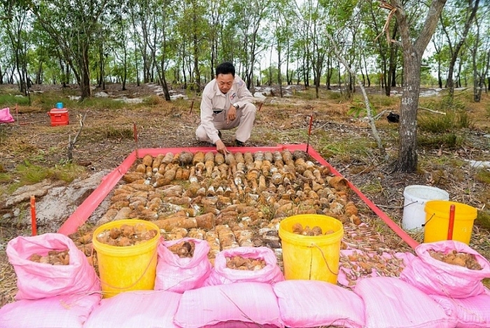 hon 1400 vat lieu chua no tai trieu phong quang tri duoc xu ly an toan
