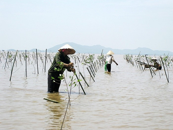 20 ho ngheo o ben tre co them diem tua nho von vay phong tranh thien tai