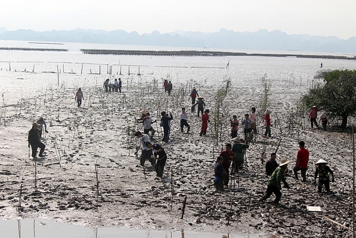 tinh nguyen vien nhat ban toi quang ninh trong cay ban chua tham nguoi gia neo don
