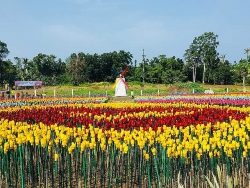 philippines vuon tulip lung linh nay mam tu rac thai nhua