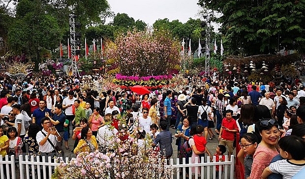 thang 32020 ngam hang tram cay anh dao nhat ban dua no giua thu do