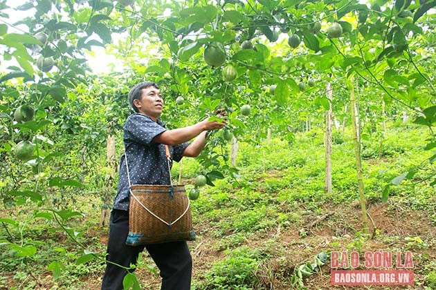 Thắm mãi tình hữu nghị Việt - Lào