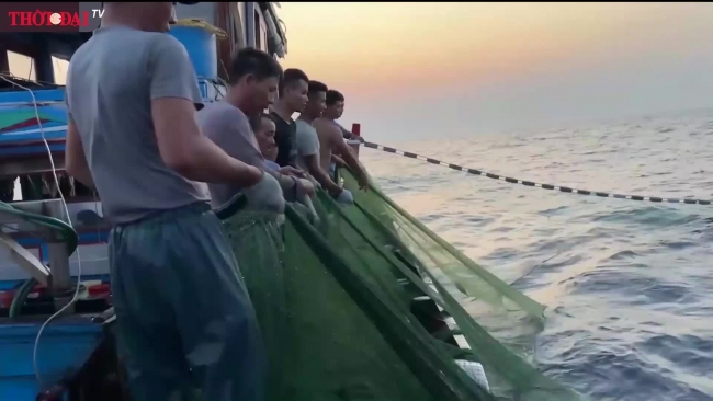 Ngư dân bám biển
